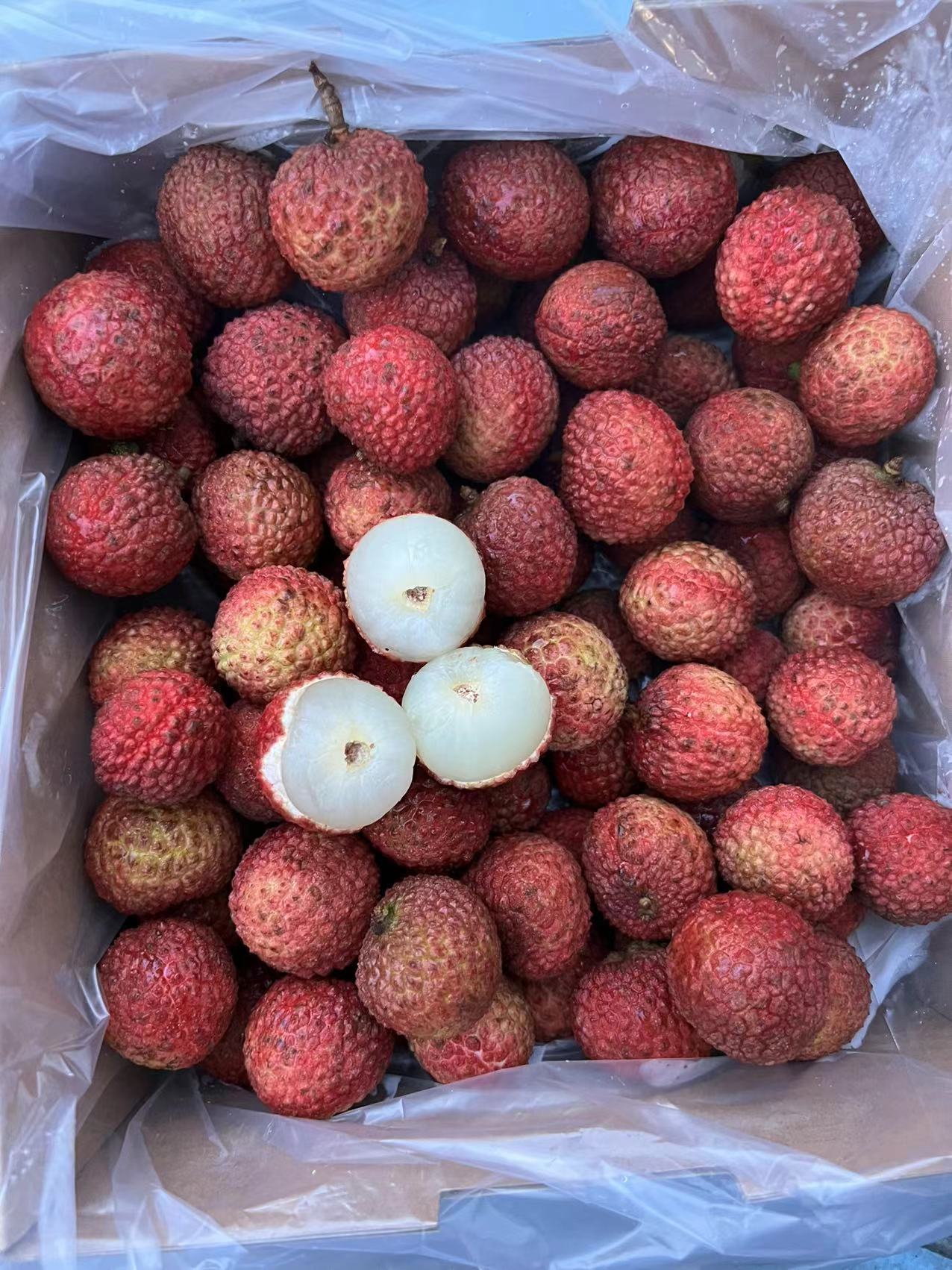 [フレッシュグリーンライチFRESH GREEN LYCHEE] - [SWEET SEASON]