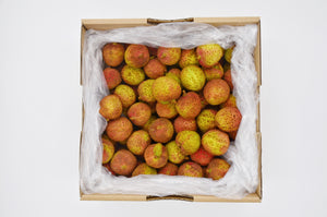 [フレッシュグリーンライチFRESH GREEN LYCHEE] - [SWEET SEASON]